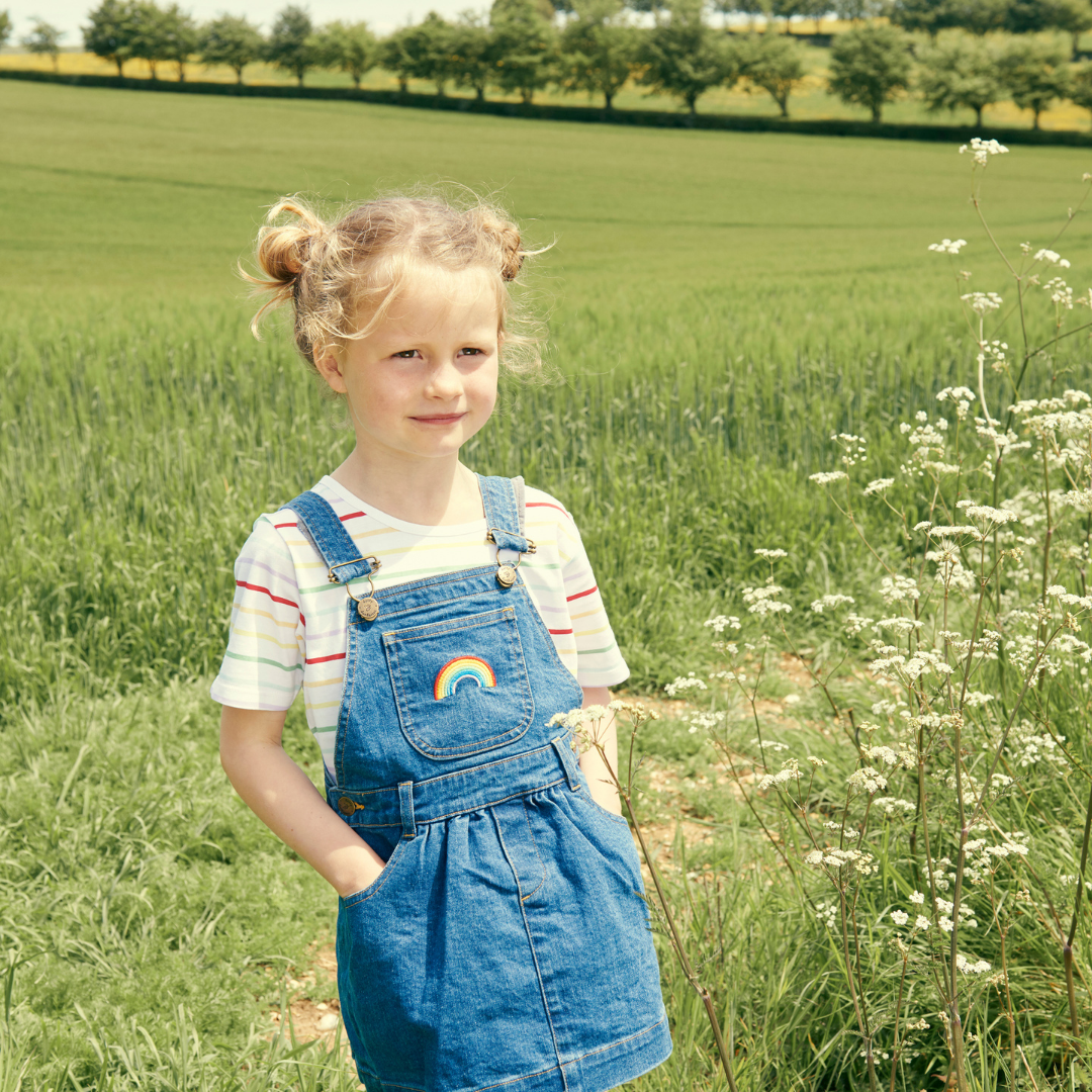 Stonewash RAINBOW Denim Dress