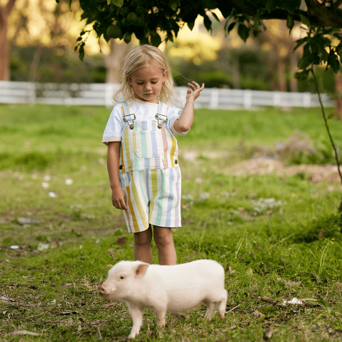 Classic Wide Stripe Shorts - Multicolour