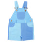 Tonal Colourblock Shorts - Blue