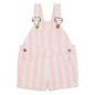 Classic Wide Stripe Denim Shorts - Pink