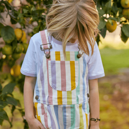 Classic Wide Stripe Shorts - Multicolour