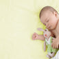 Crib Jersey Fitted Sheets 100% Cotton 40x90cm - Pack Of 4 - Fits All Models