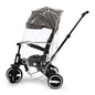 Universal Trike - Raincover
